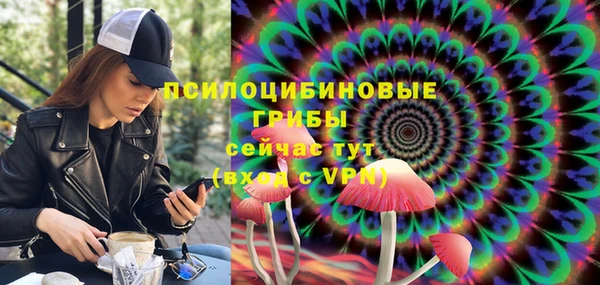 метадон Алексин