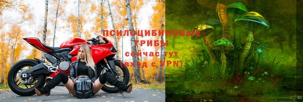каннабис Алексеевка