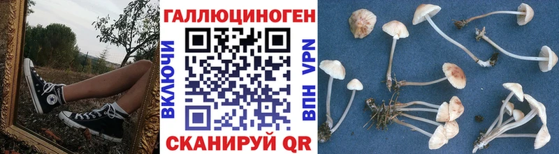 Галлюциногенные грибы прущие грибы  hydra маркетплейс  Чаплыгин 