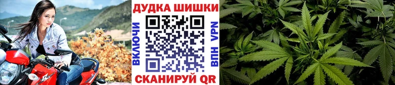 Канабис сатива  Чаплыгин 